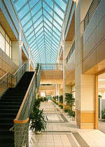 Architectural millwork and paneling for an international corporate office